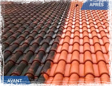 Nettoyage Démoussage Toiture Libourne Gironde